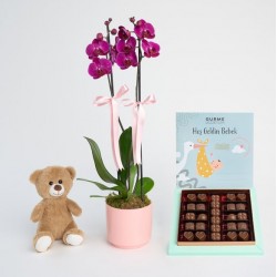 Doğum Günü Paketi